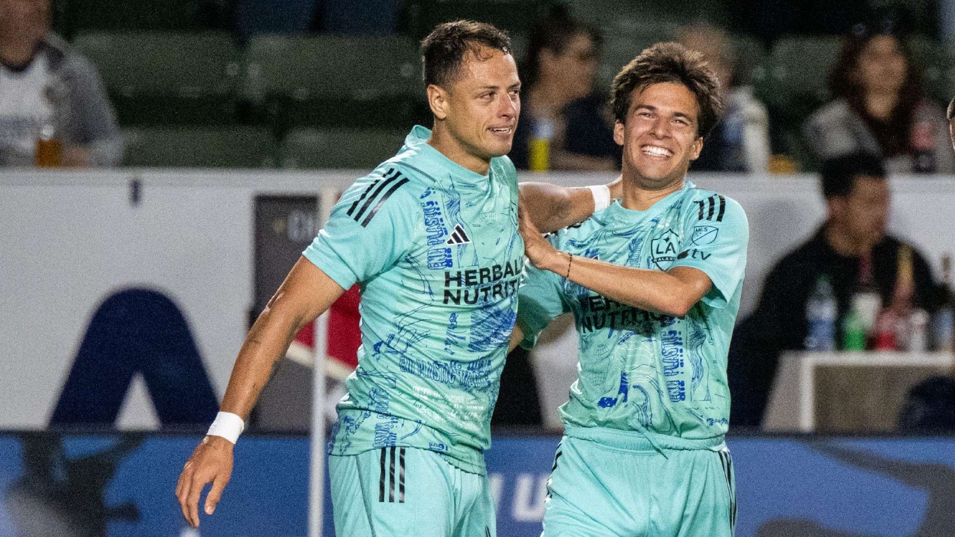 展树立了一 展树立了一